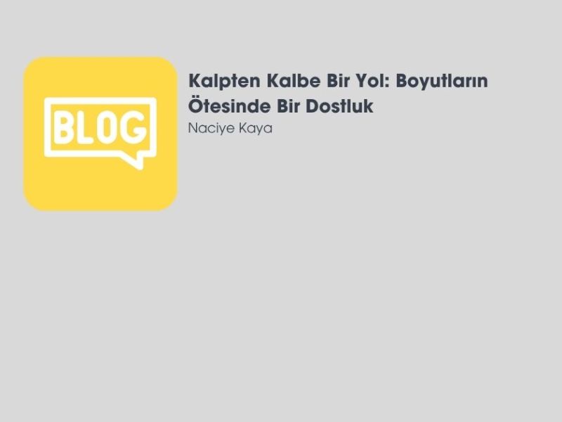 Kalpten Kalbe Bir Yol: Boyutların Ötesinde Bir&nbsp;Dostluk