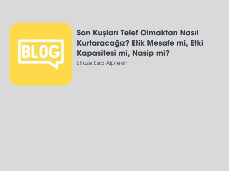 Son Kuşları Telef Olmaktan Nasıl Kurtaracağız? Etik Mesafe mi, Etki Kapasitesi mi, Nasip mi? 