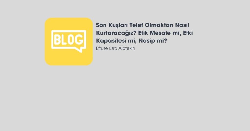 Son Kuşları Telef Olmaktan Nasıl Kurtaracağız? Etik Mesafe mi, Etki Kapasitesi mi, Nasip mi? 